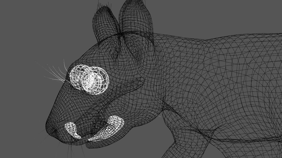 squirrel 3D model_6
