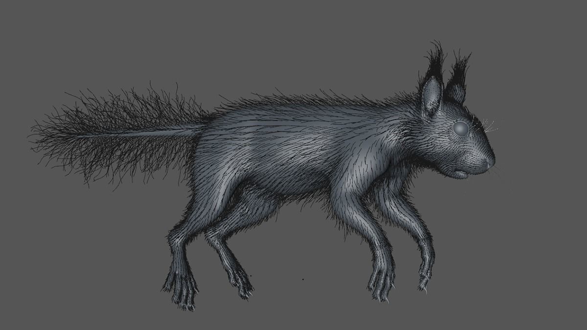 squirrel 3D model_10