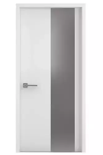 Door-017 door with glass panel