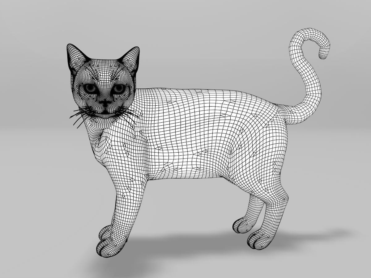 Burmese Cat Rigged Low-poly 3D model_3
