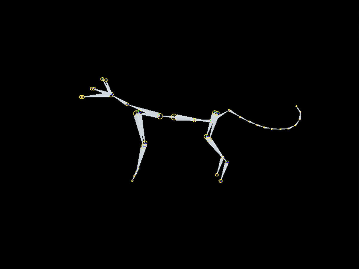 Burmese Cat Rigged Low-poly 3D model_6