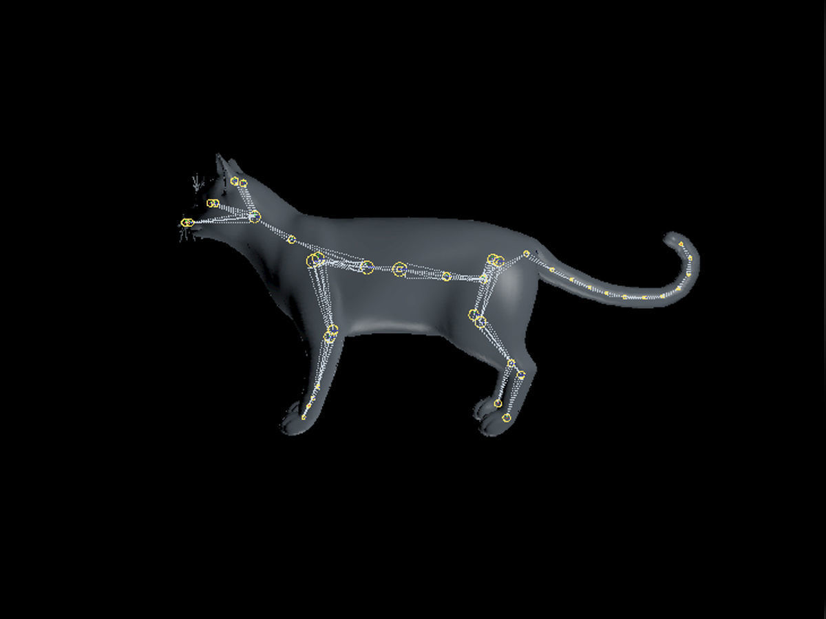 Burmese Cat Rigged Low-poly 3D model_5