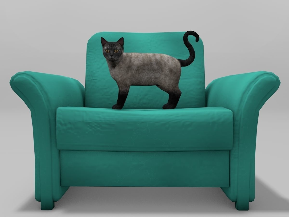 Burmese Cat Rigged Low-poly 3D model_2
