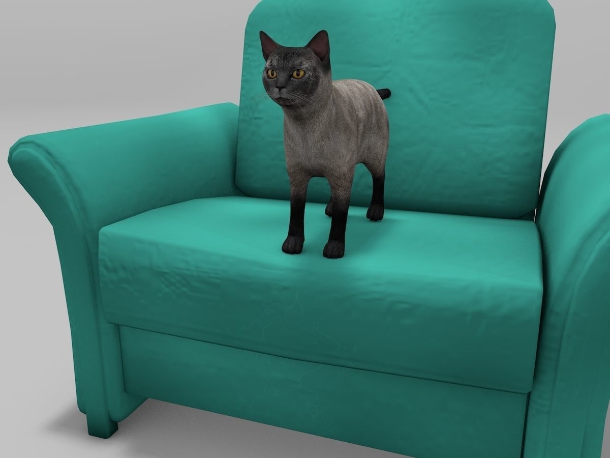 Burmese Cat Rigged Low-poly 3D model_1