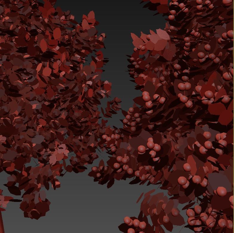 apple tree everest  3D model_6