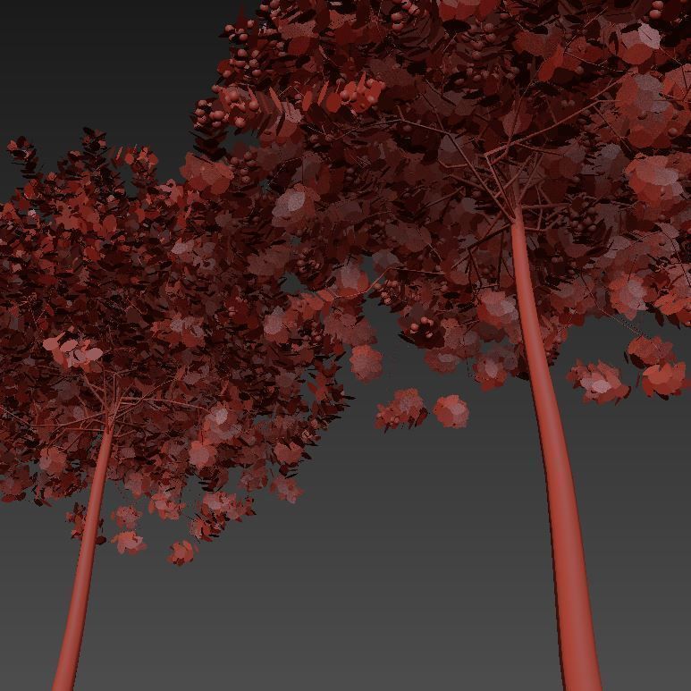 apple tree everest  3D model_9