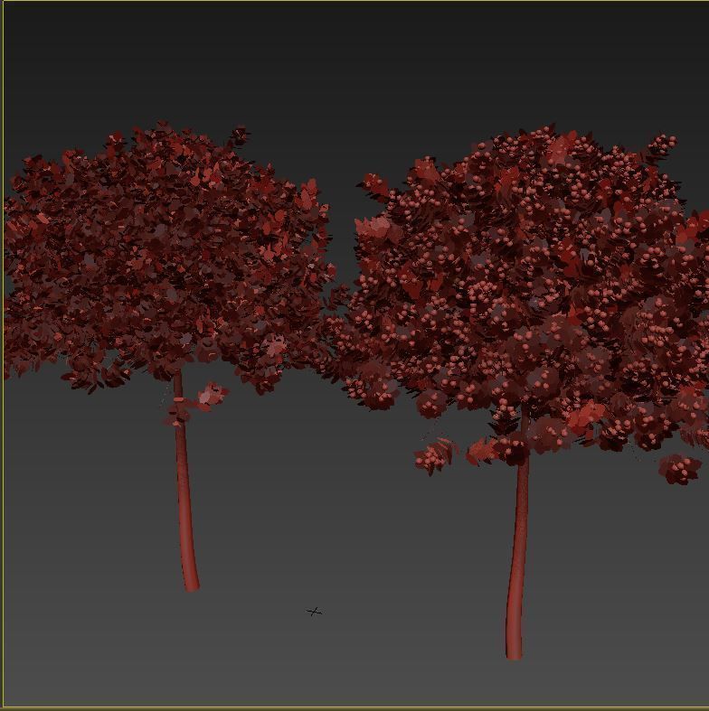 apple tree everest  3D model_7