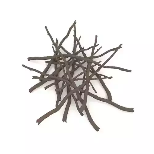 Twigs 1 pile of sticks