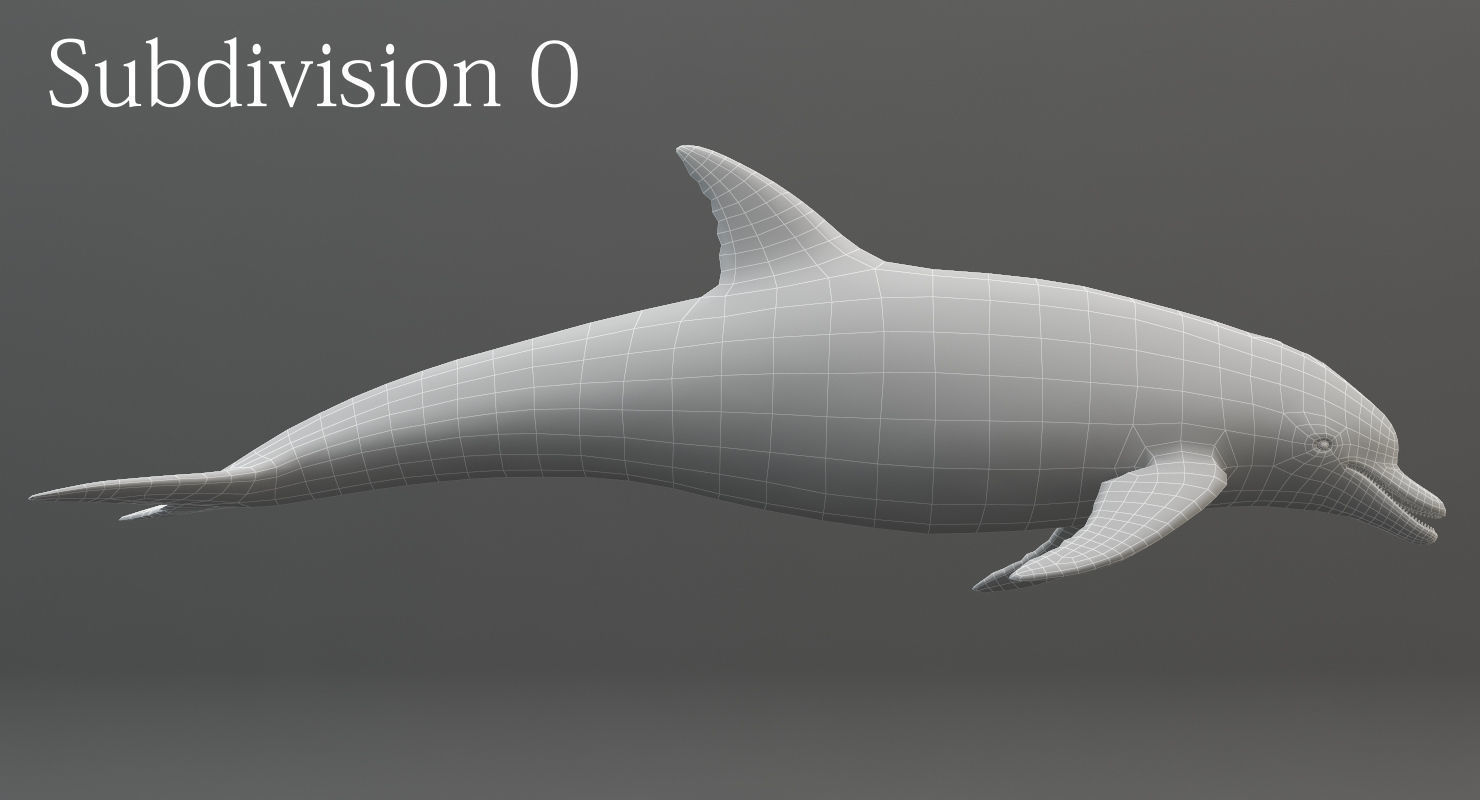 Dolphin Rigged Low-poly 3D model_14