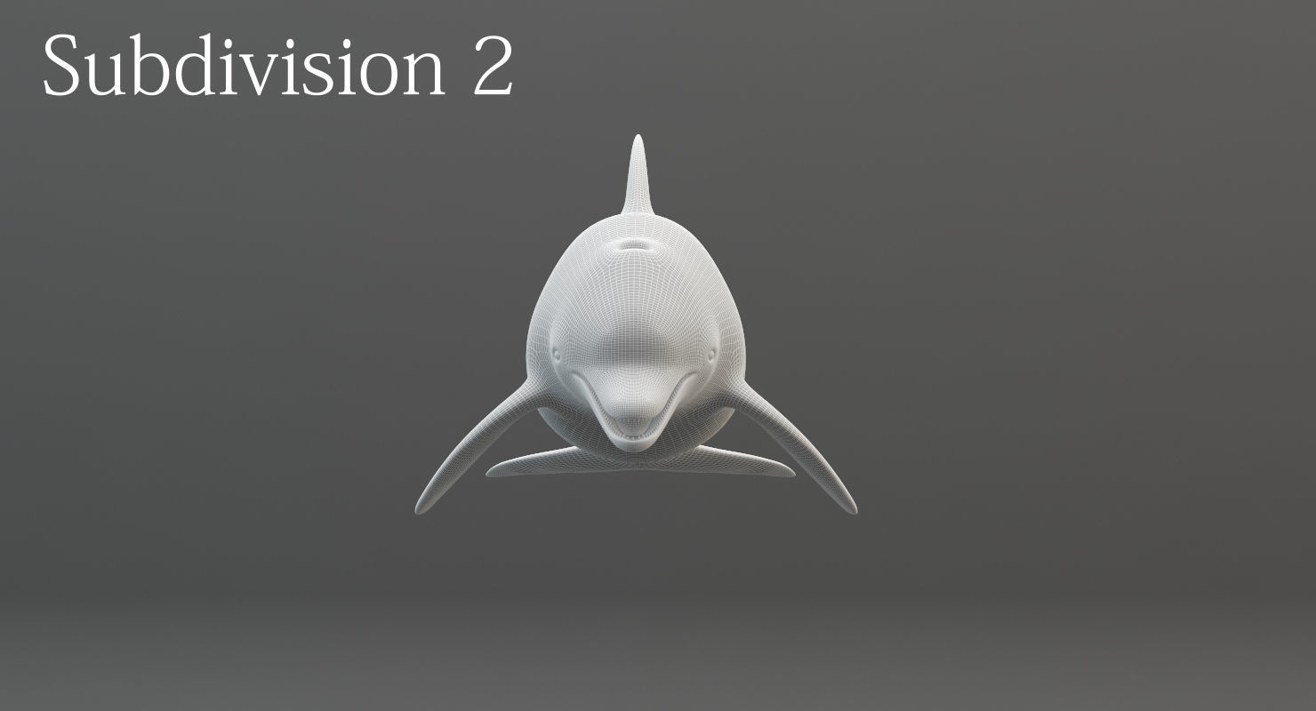 Dolphin Rigged Low-poly 3D model_22