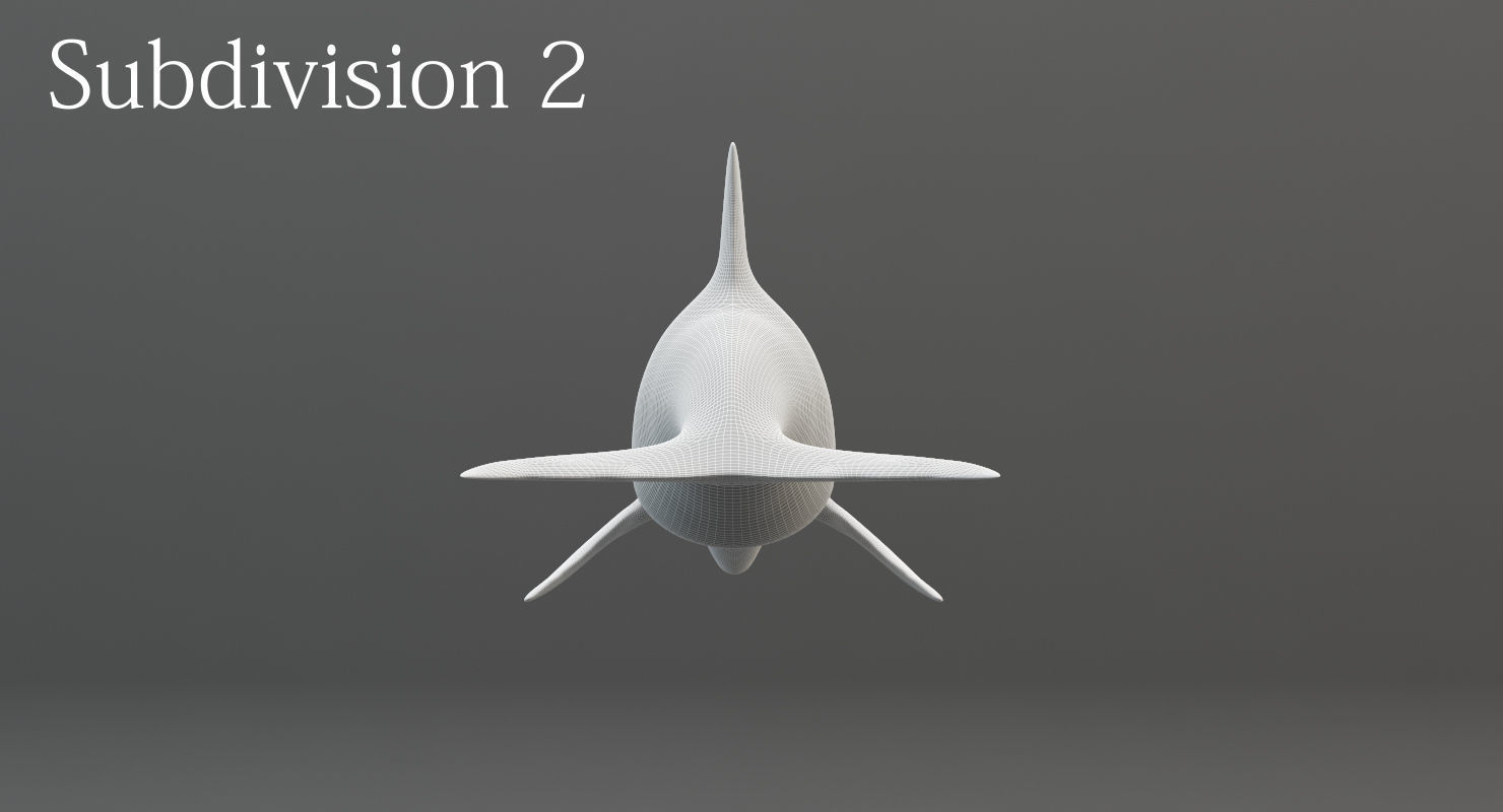 Dolphin Rigged Low-poly 3D model_21