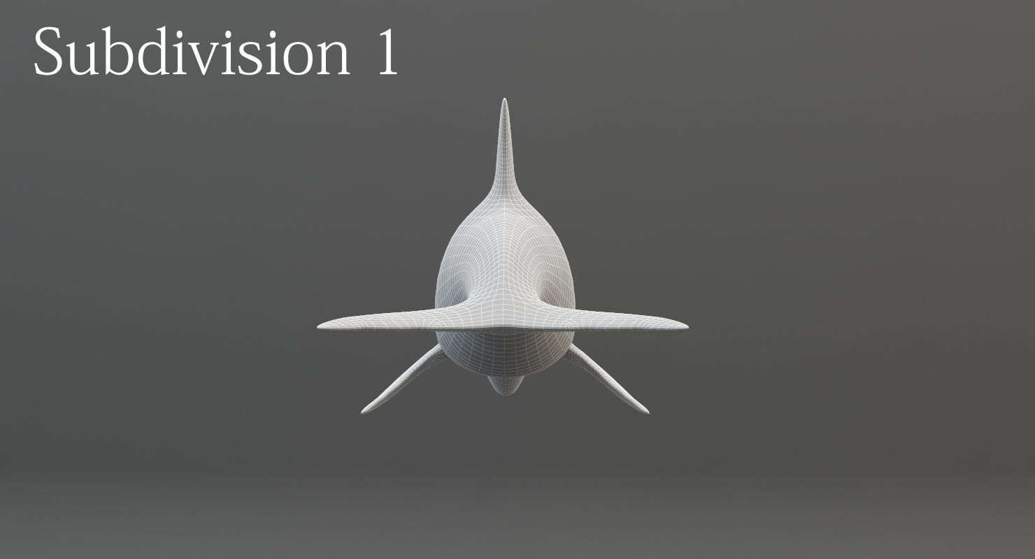 Dolphin Rigged Low-poly 3D model_18