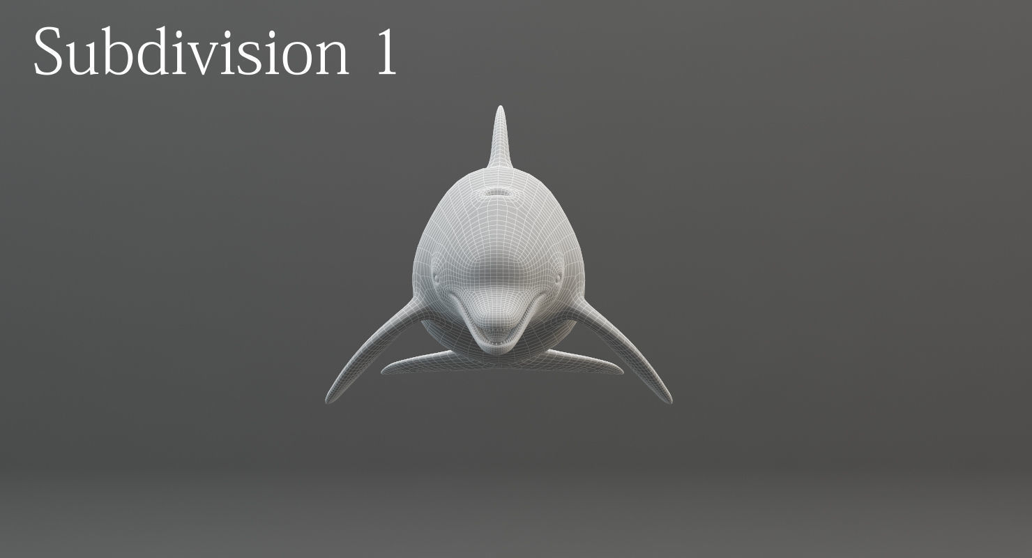 Dolphin Rigged Low-poly 3D model_16