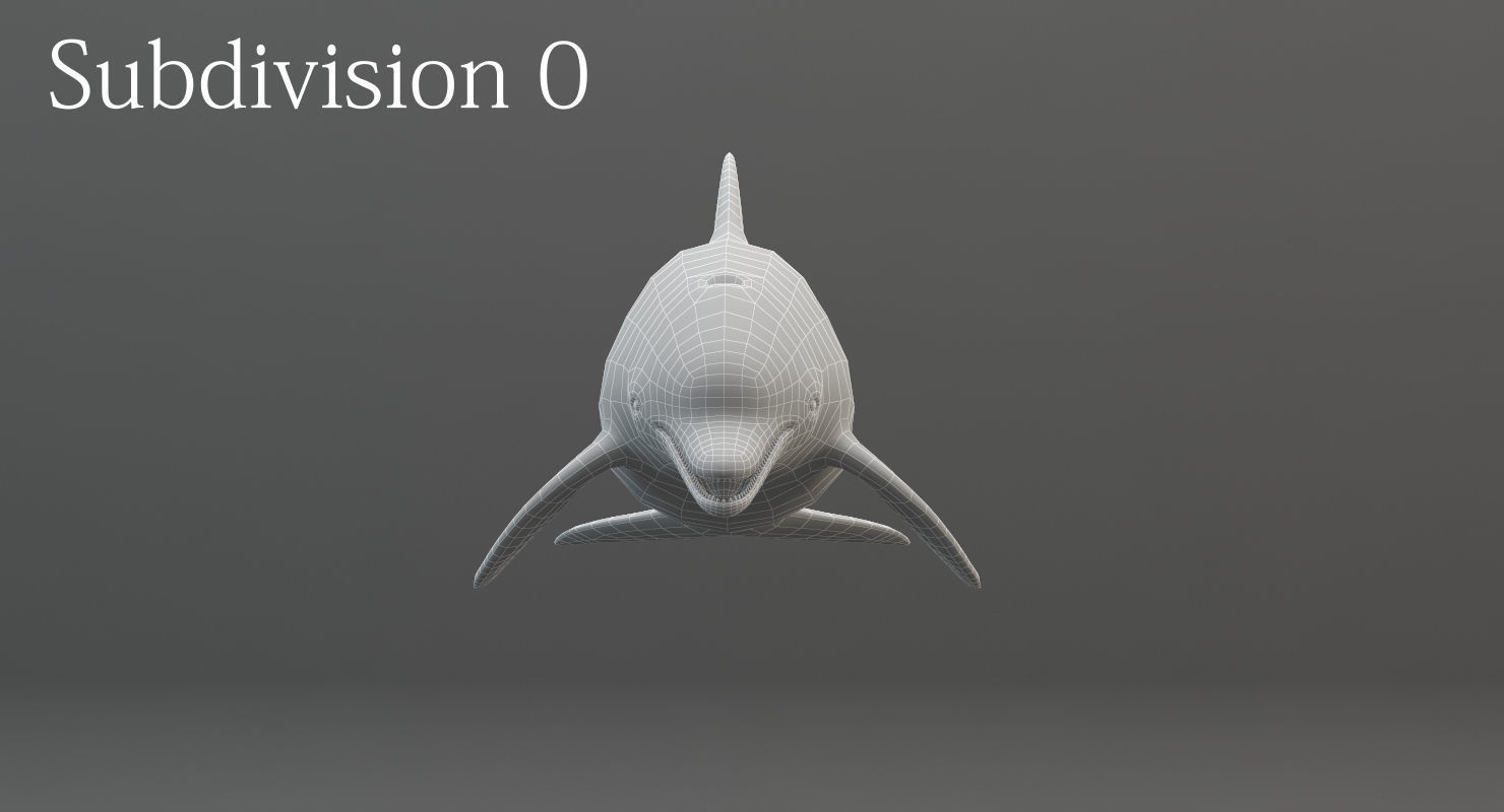 Dolphin Rigged Low-poly 3D model_15