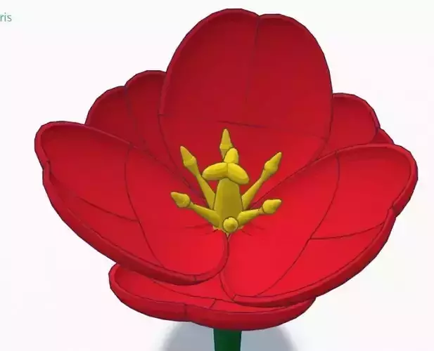 Tulip flower 3D print model