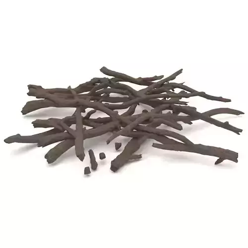 Twigs 2 pile of sticks 3D model