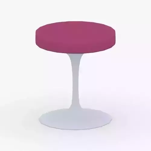 0100 - Stool