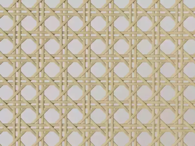 Mesh Cane Webbing 3D model