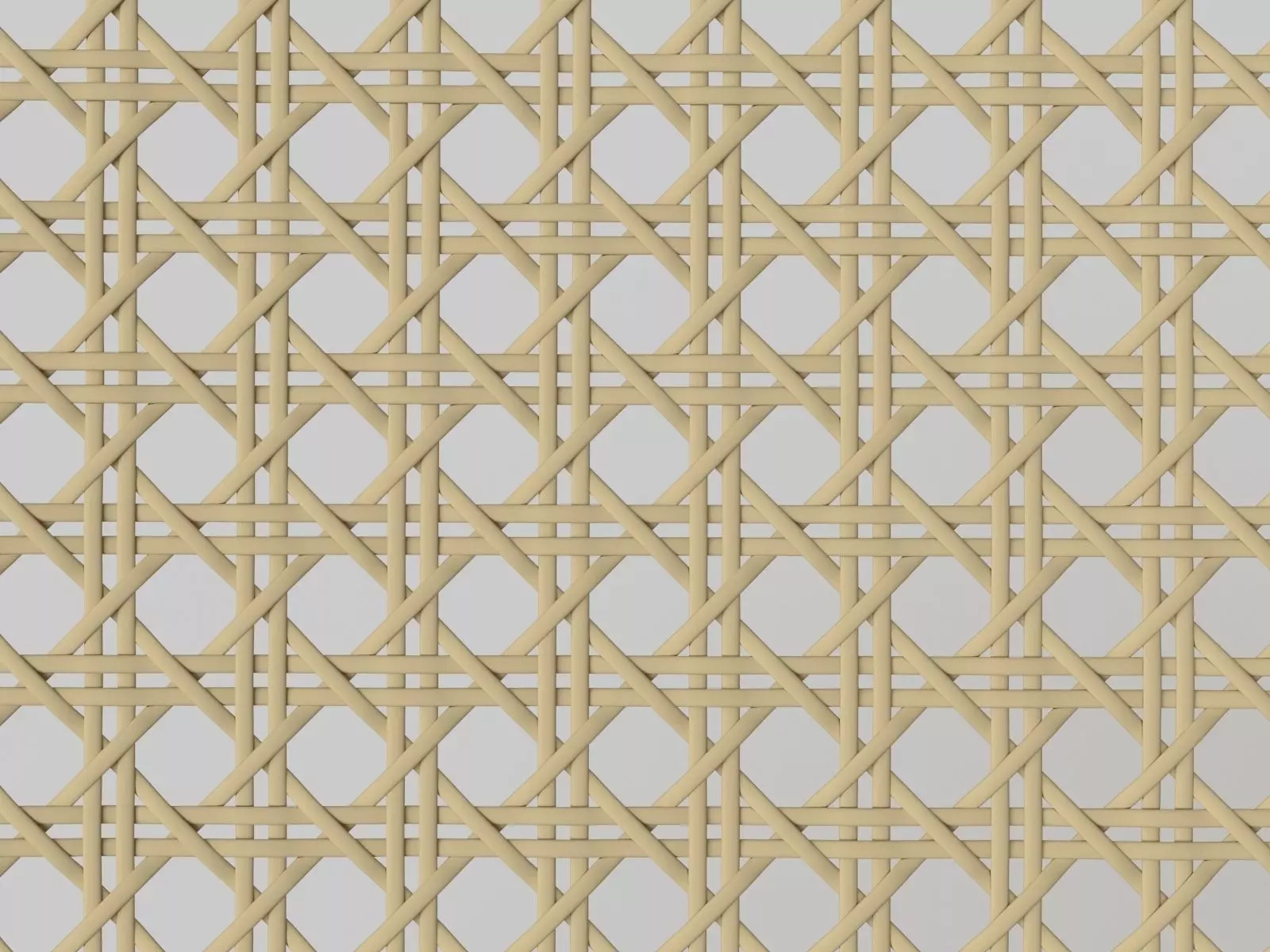Mesh Cane Webbing 3D model