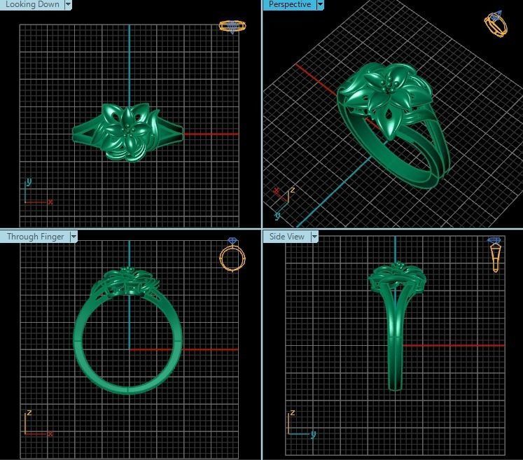 Ring T00372 3D print model_2