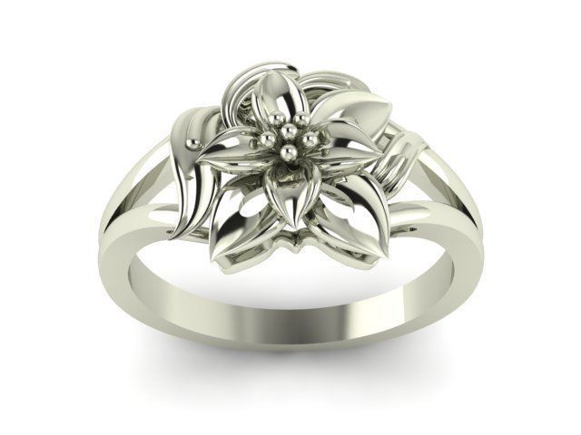 Ring T00372 3D print model_1