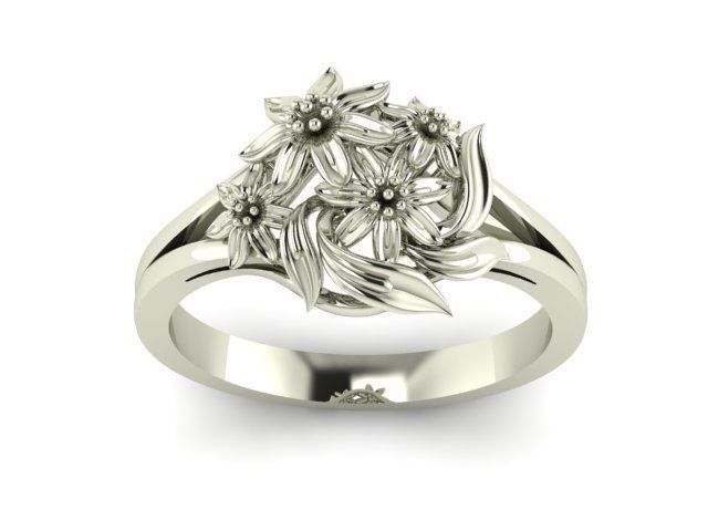 Ring T00376 3D print model_1