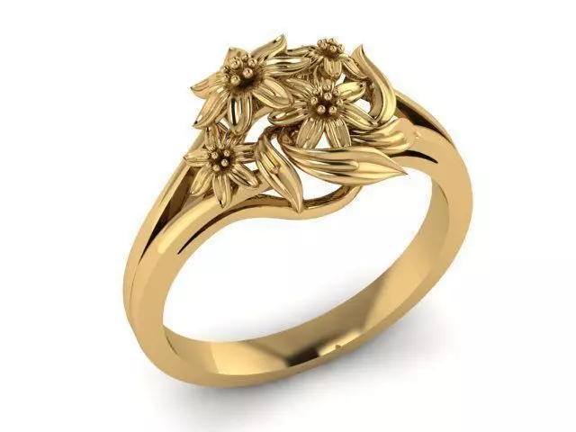 Ring T00376 3D print model_0