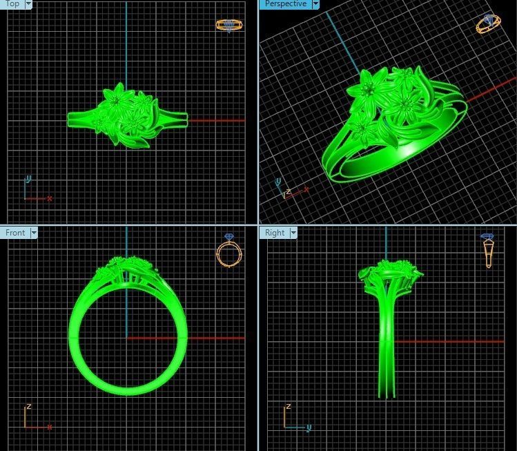 Ring T00376 3D print model_2