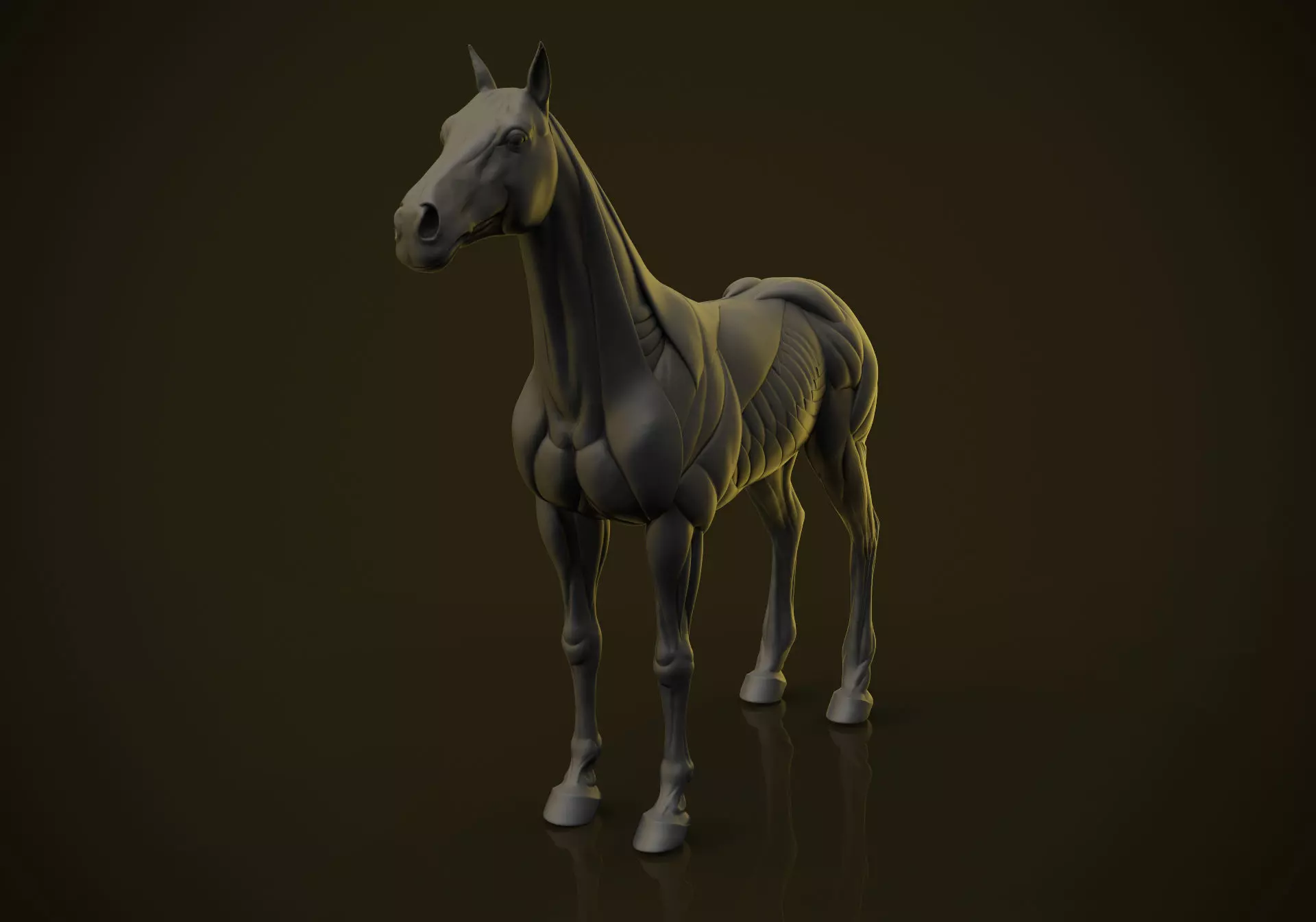 Horse Ecorche 3D print model