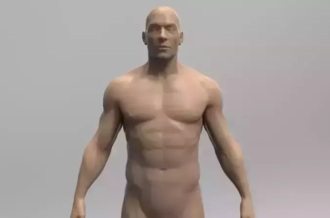 Male body
