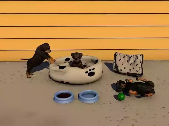 Pet Acessories Low-poly 3D model