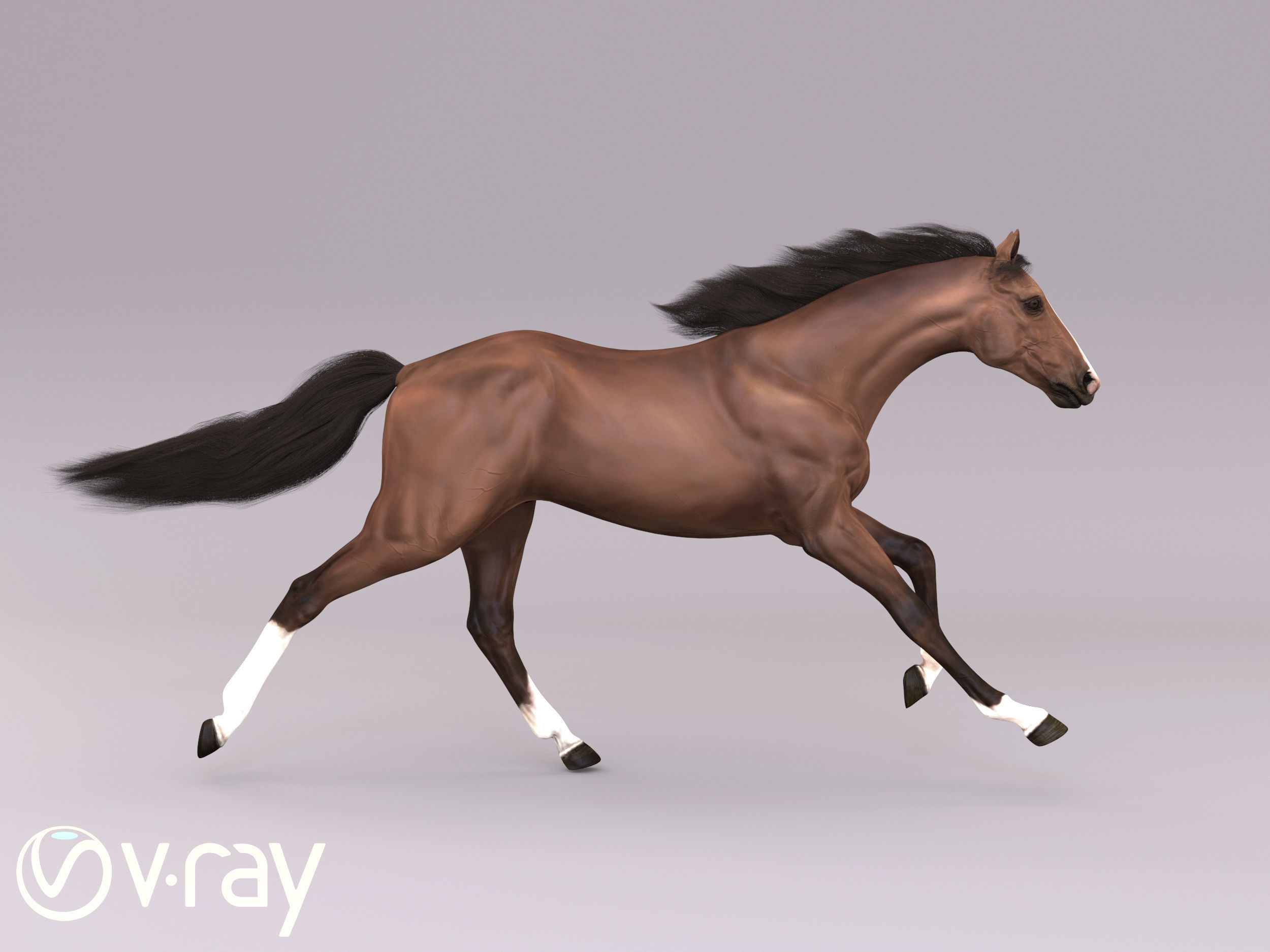 Horse in three poses  not animated Low-poly 3D model_7