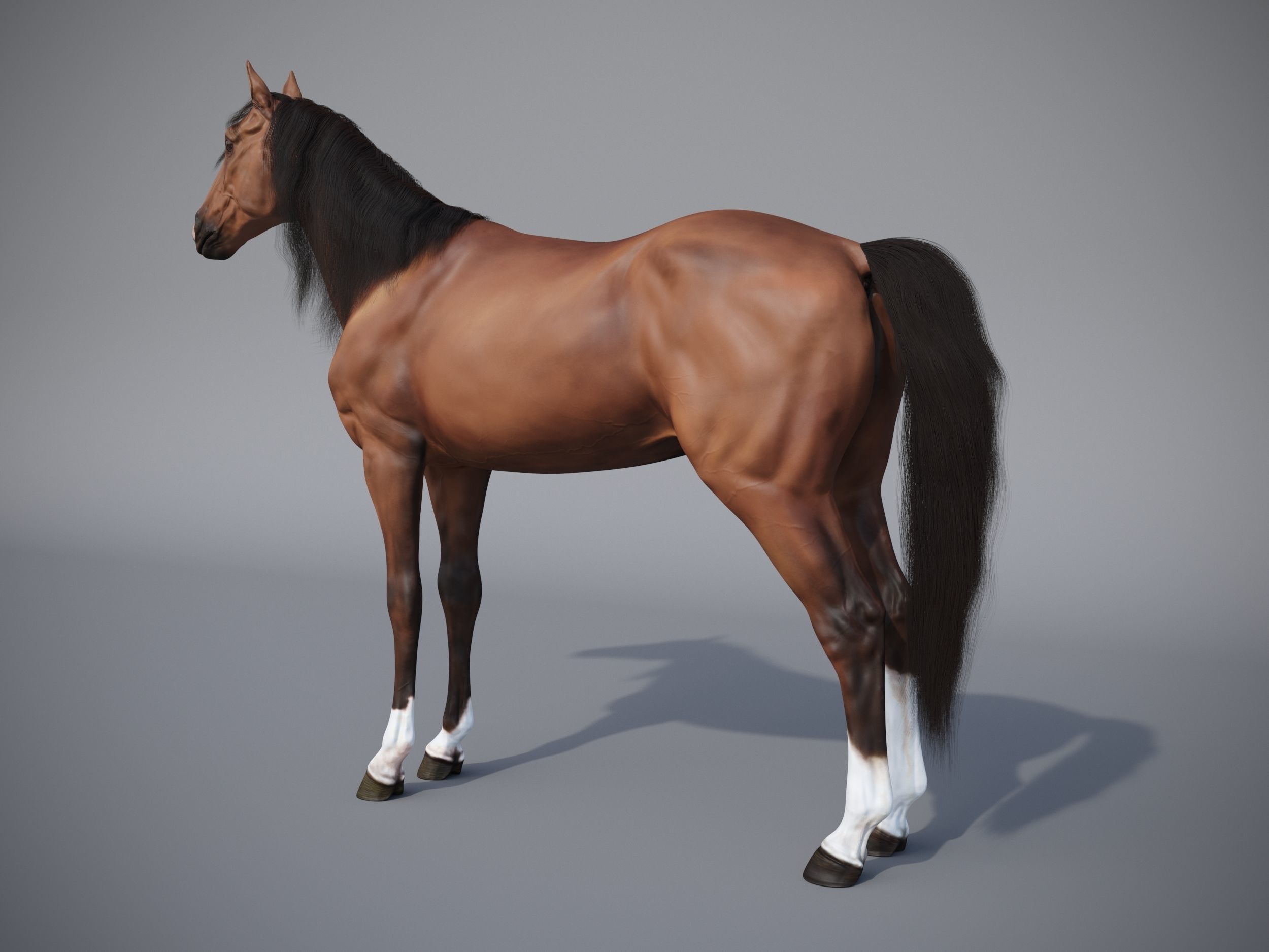 Horse in three poses  not animated Low-poly 3D model_9