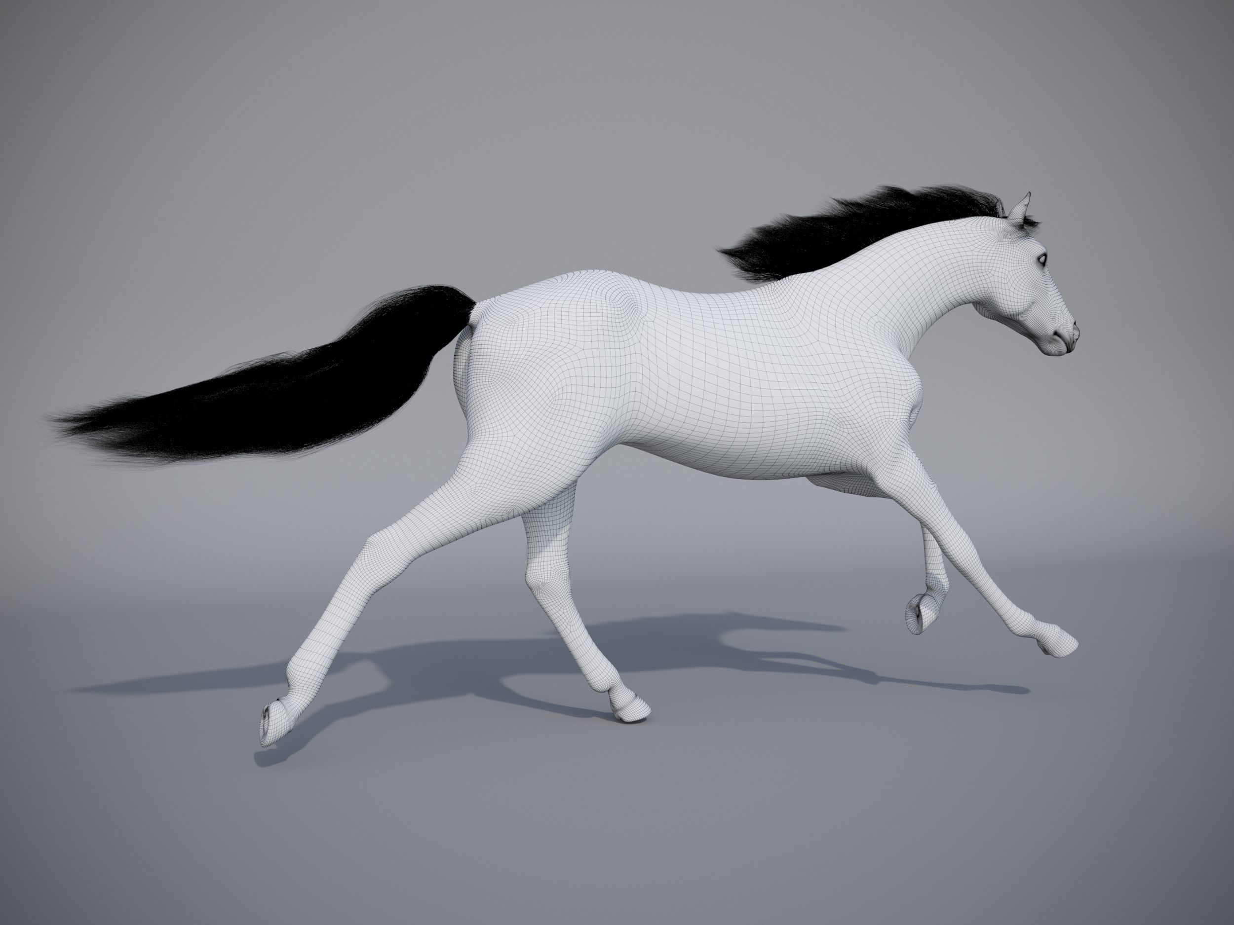 Horse in three poses  not animated Low-poly 3D model_20
