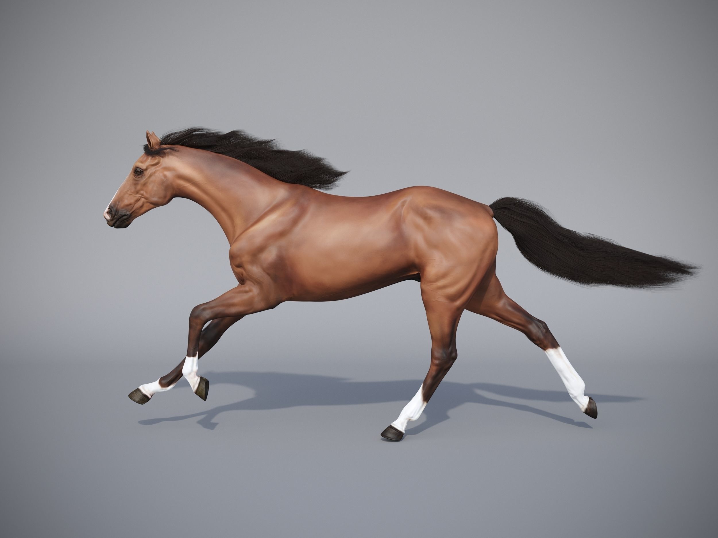 Horse in three poses  not animated Low-poly 3D model_2