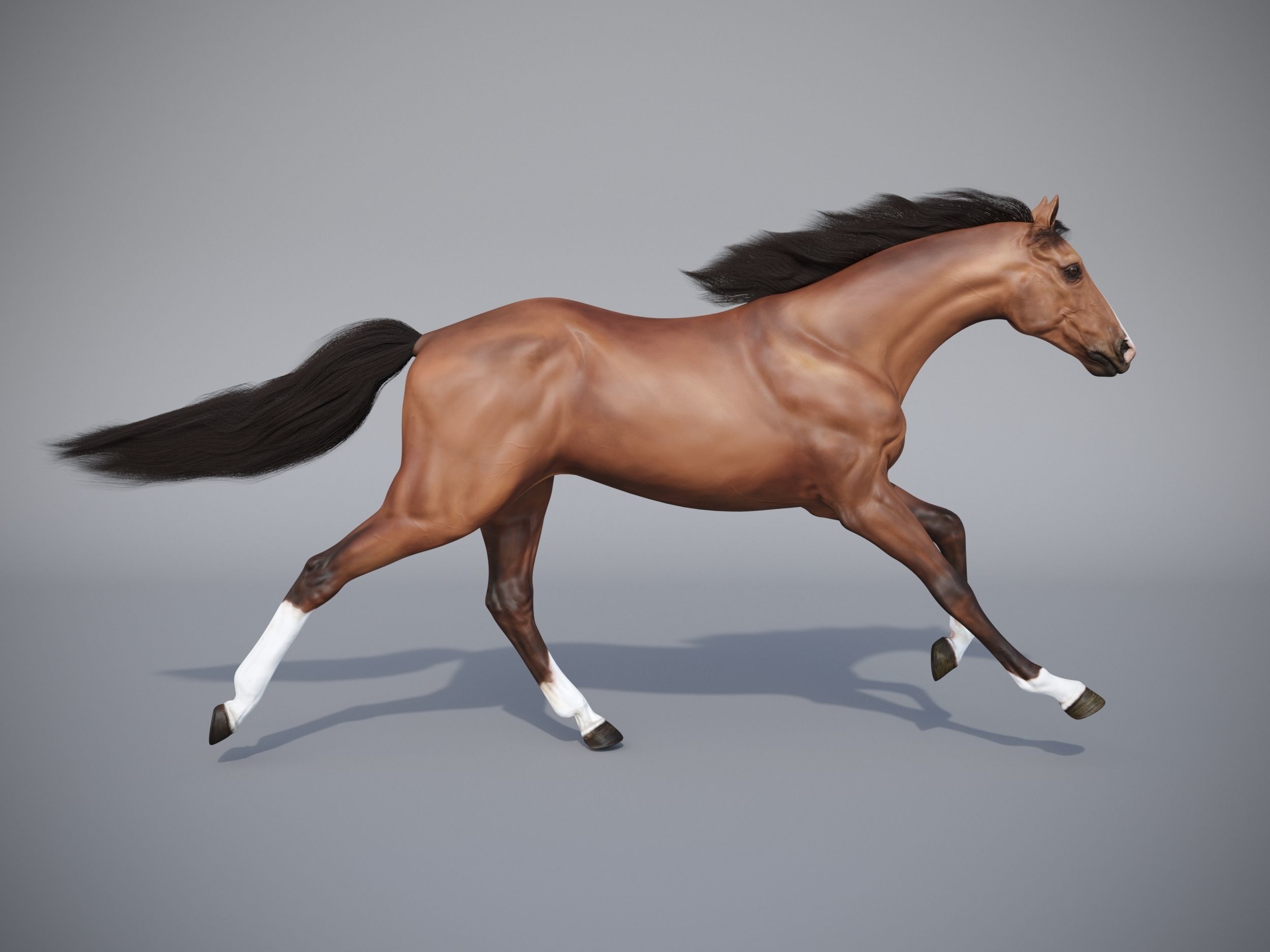 Horse in three poses  not animated Low-poly 3D model_17