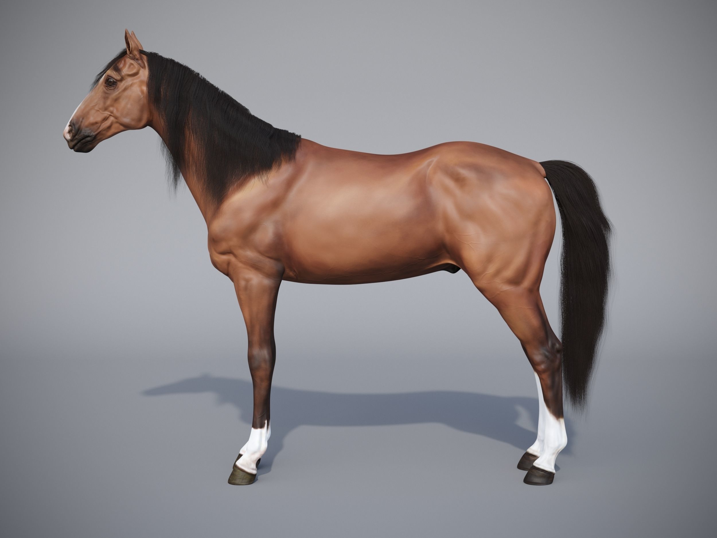 Horse in three poses  not animated Low-poly 3D model_3
