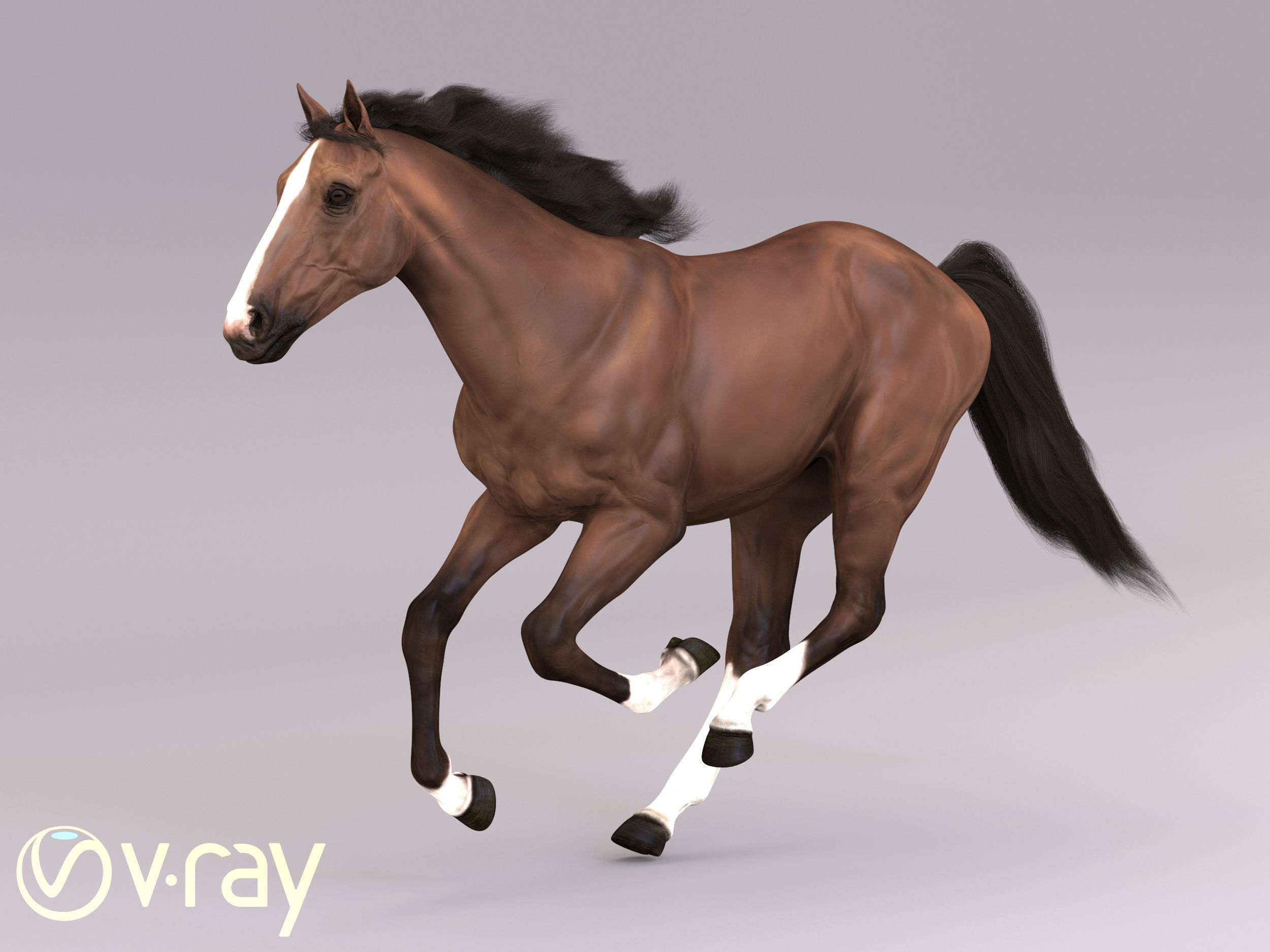 Horse in three poses  not animated Low-poly 3D model_6