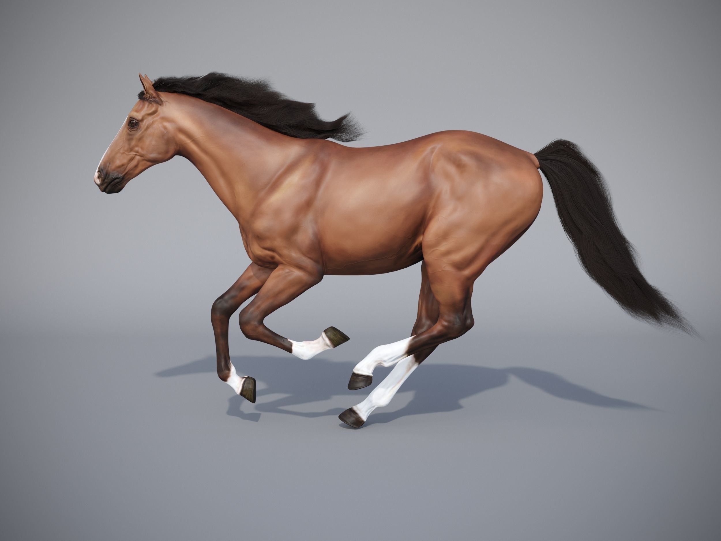Horse in three poses  not animated Low-poly 3D model_1