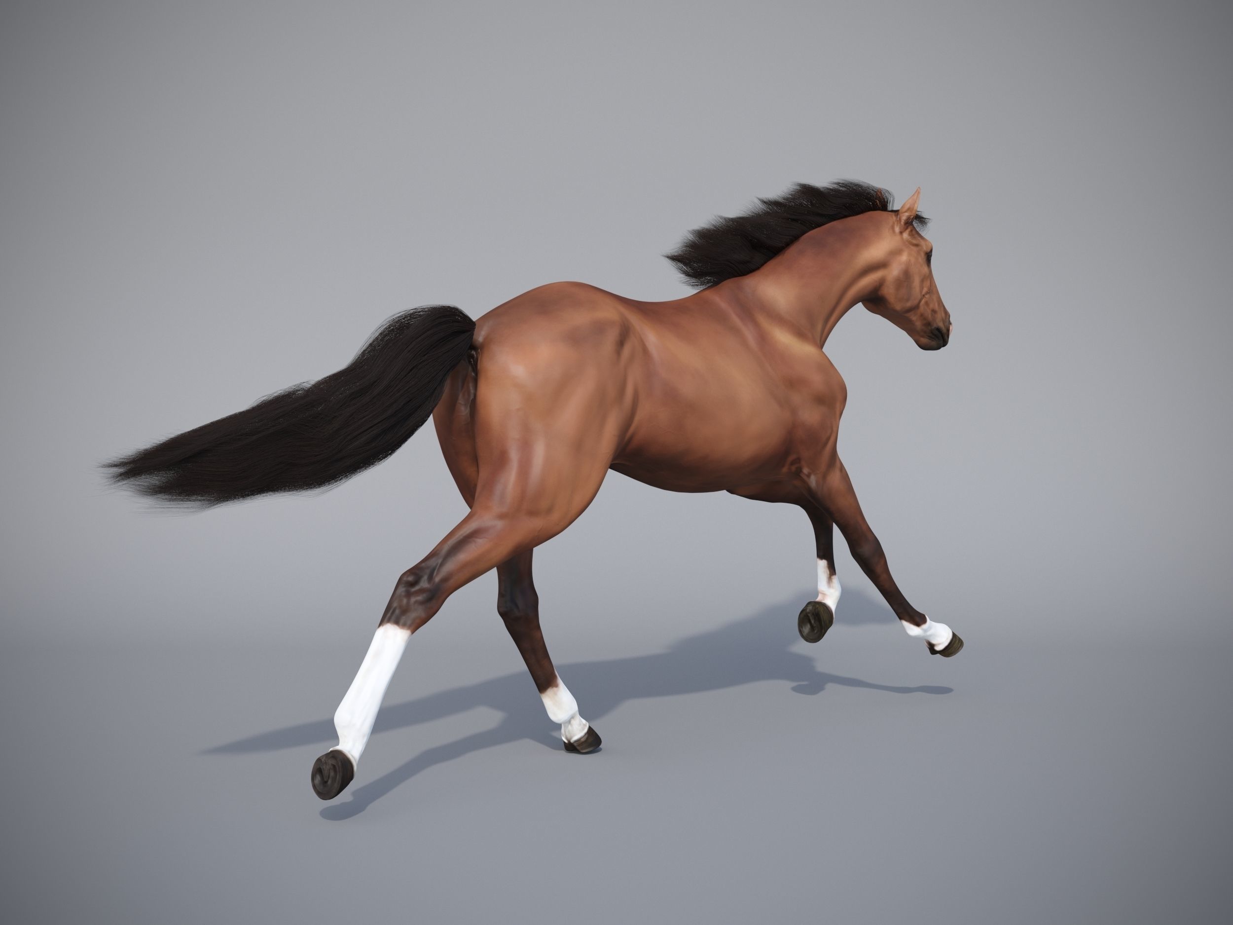Horse in three poses  not animated Low-poly 3D model_16