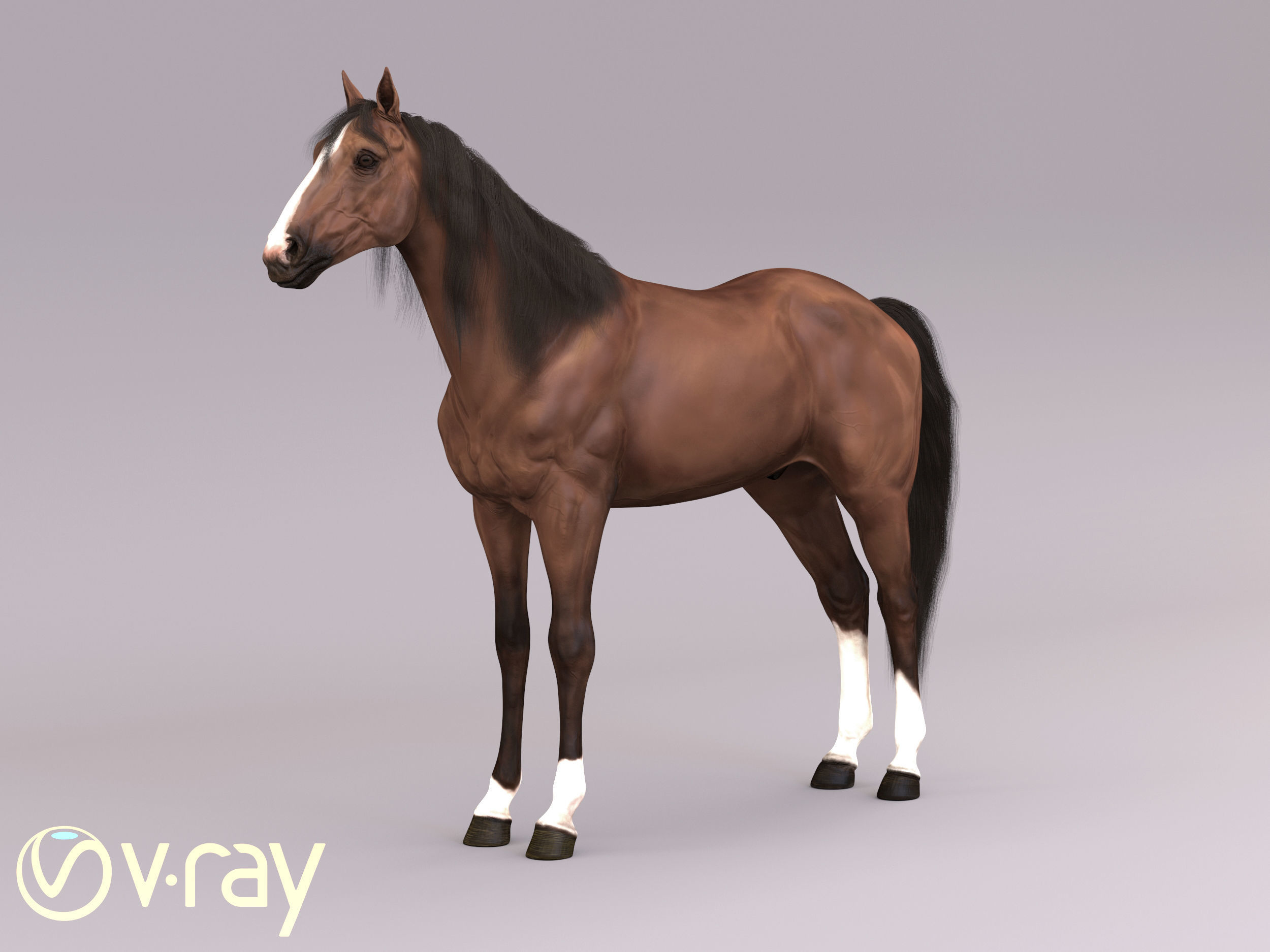 Horse in three poses  not animated Low-poly 3D model_4