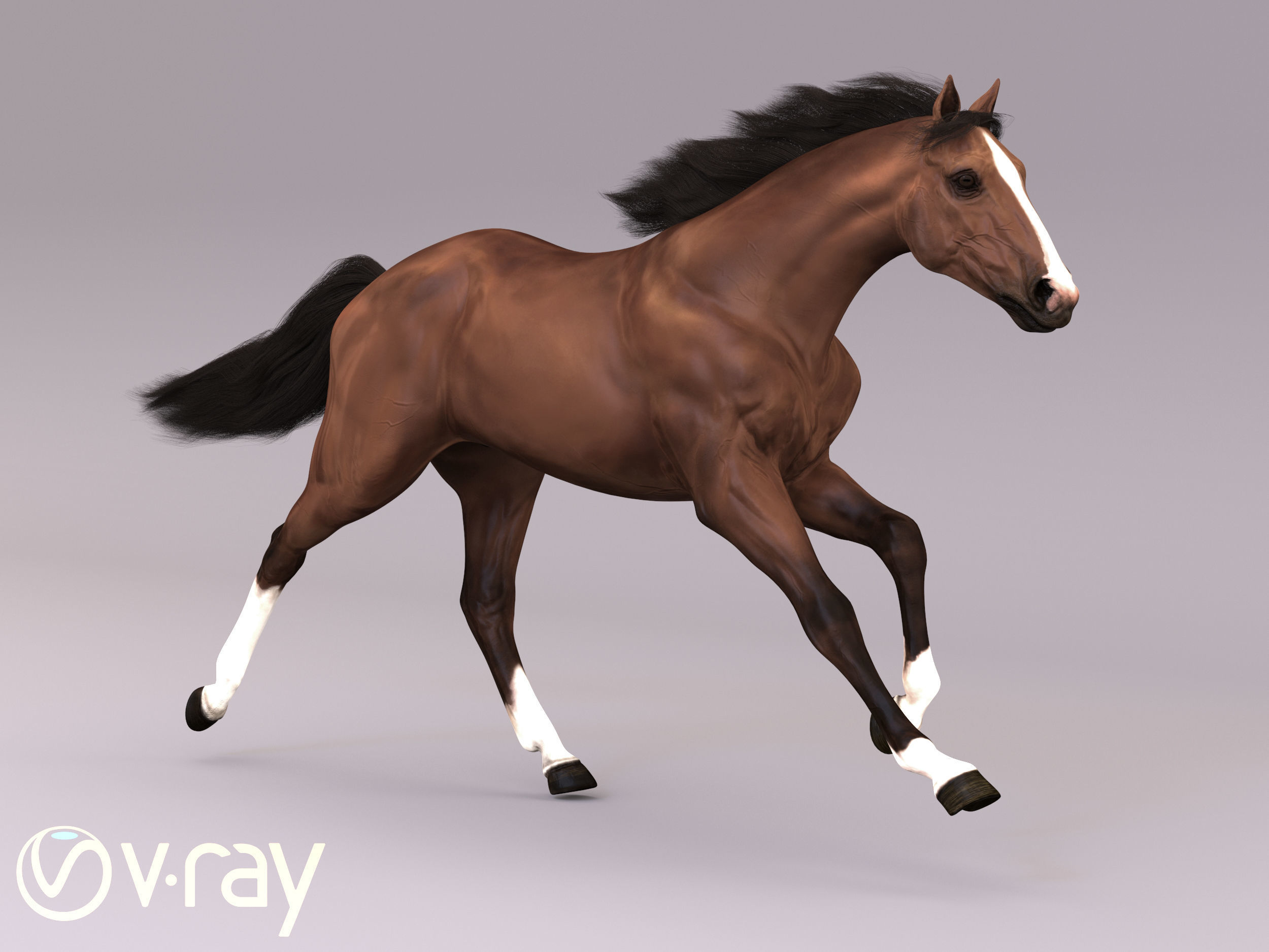 Horse in three poses  not animated Low-poly 3D model_8