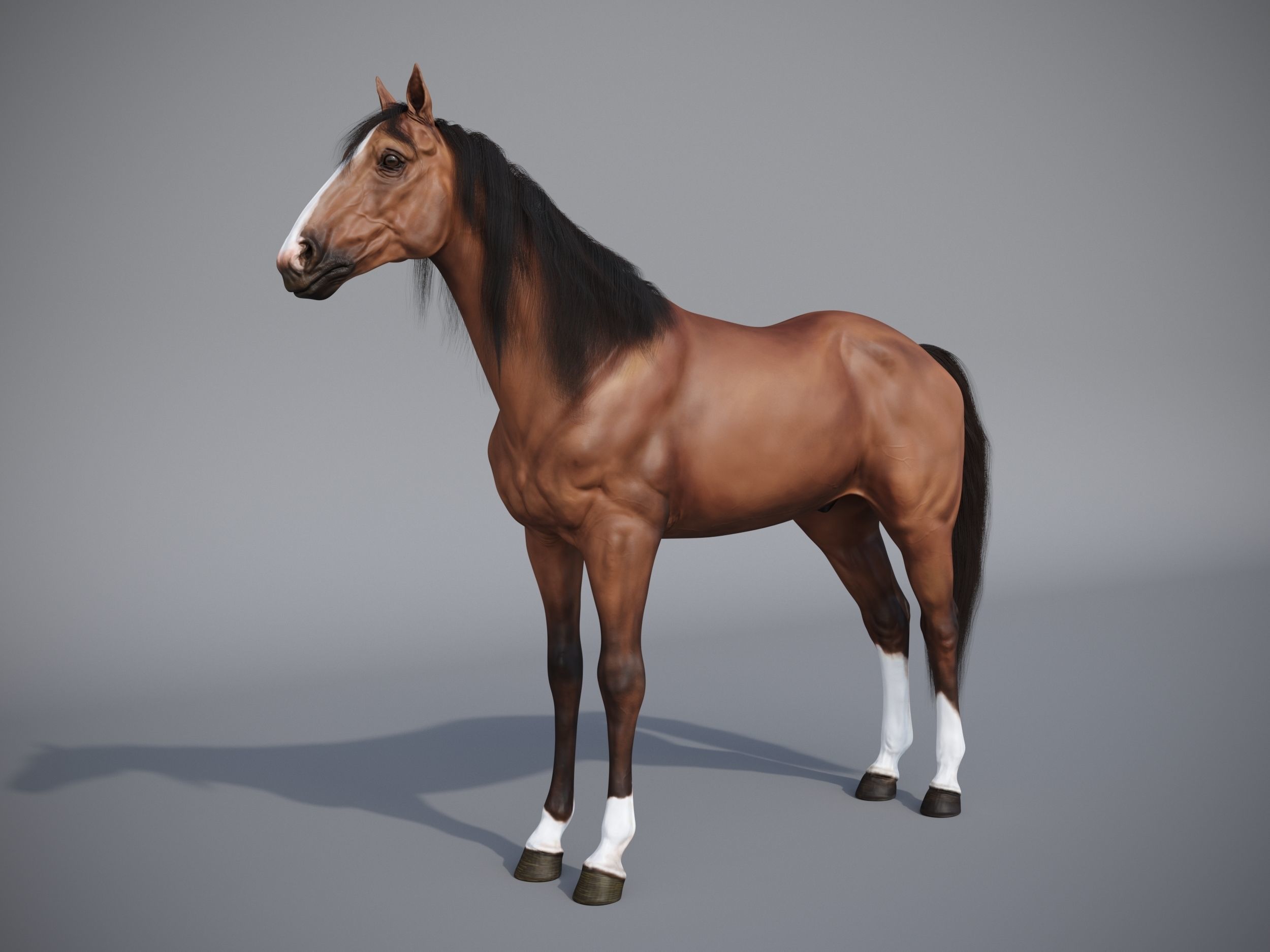 Horse in three poses  not animated Low-poly 3D model_12