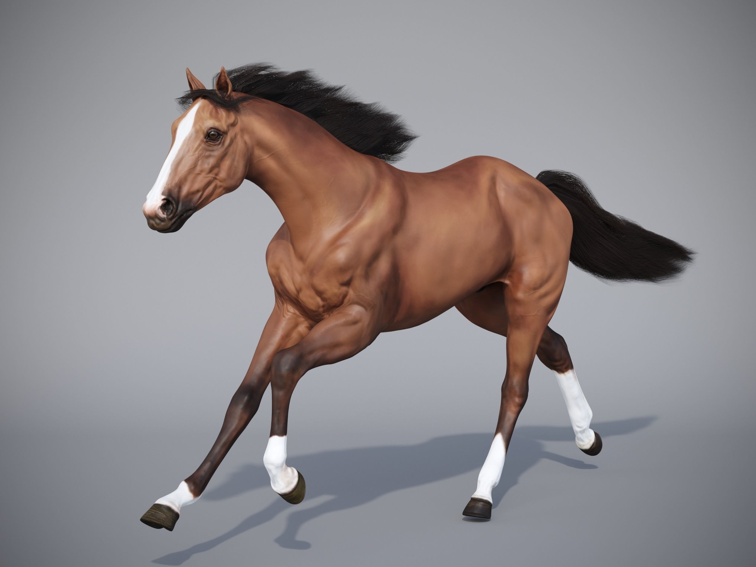 Horse in three poses  not animated Low-poly 3D model_15