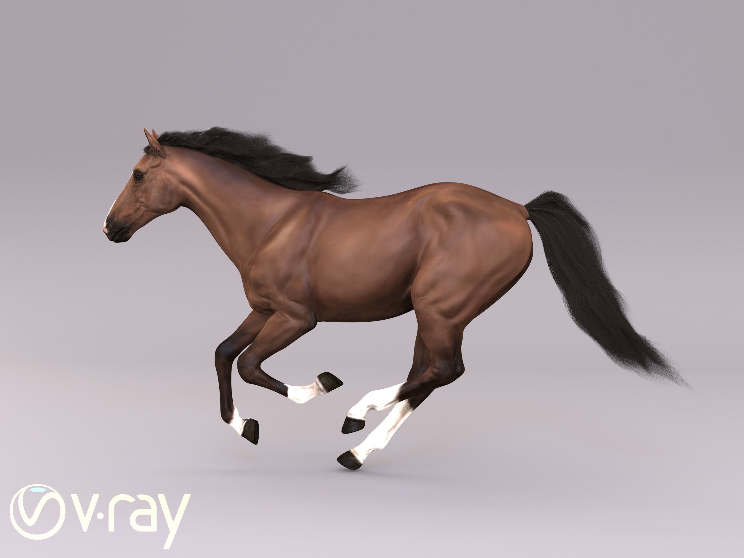 Horse in three poses  not animated Low-poly 3D model_14