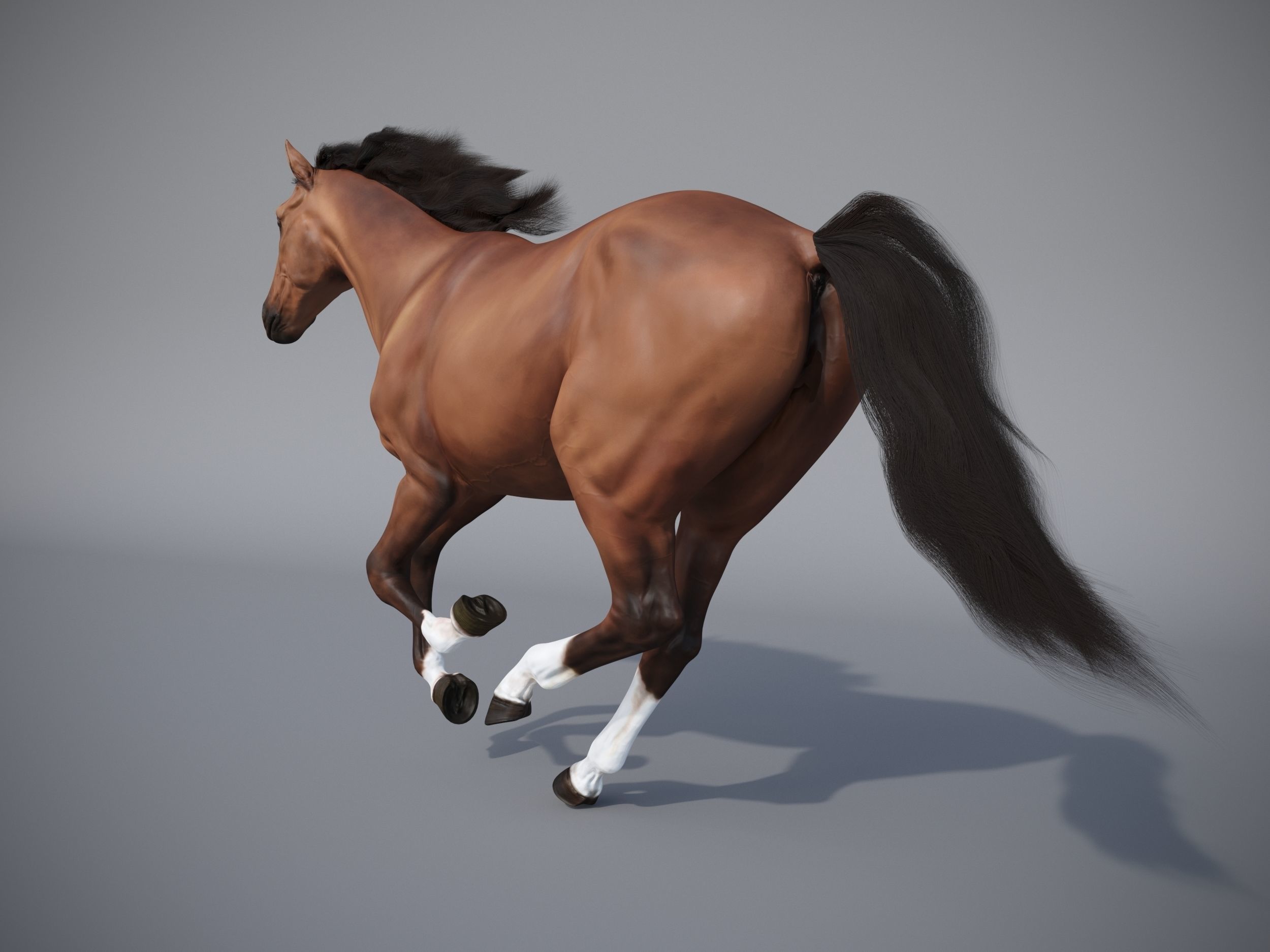 Horse in three poses  not animated Low-poly 3D model_13
