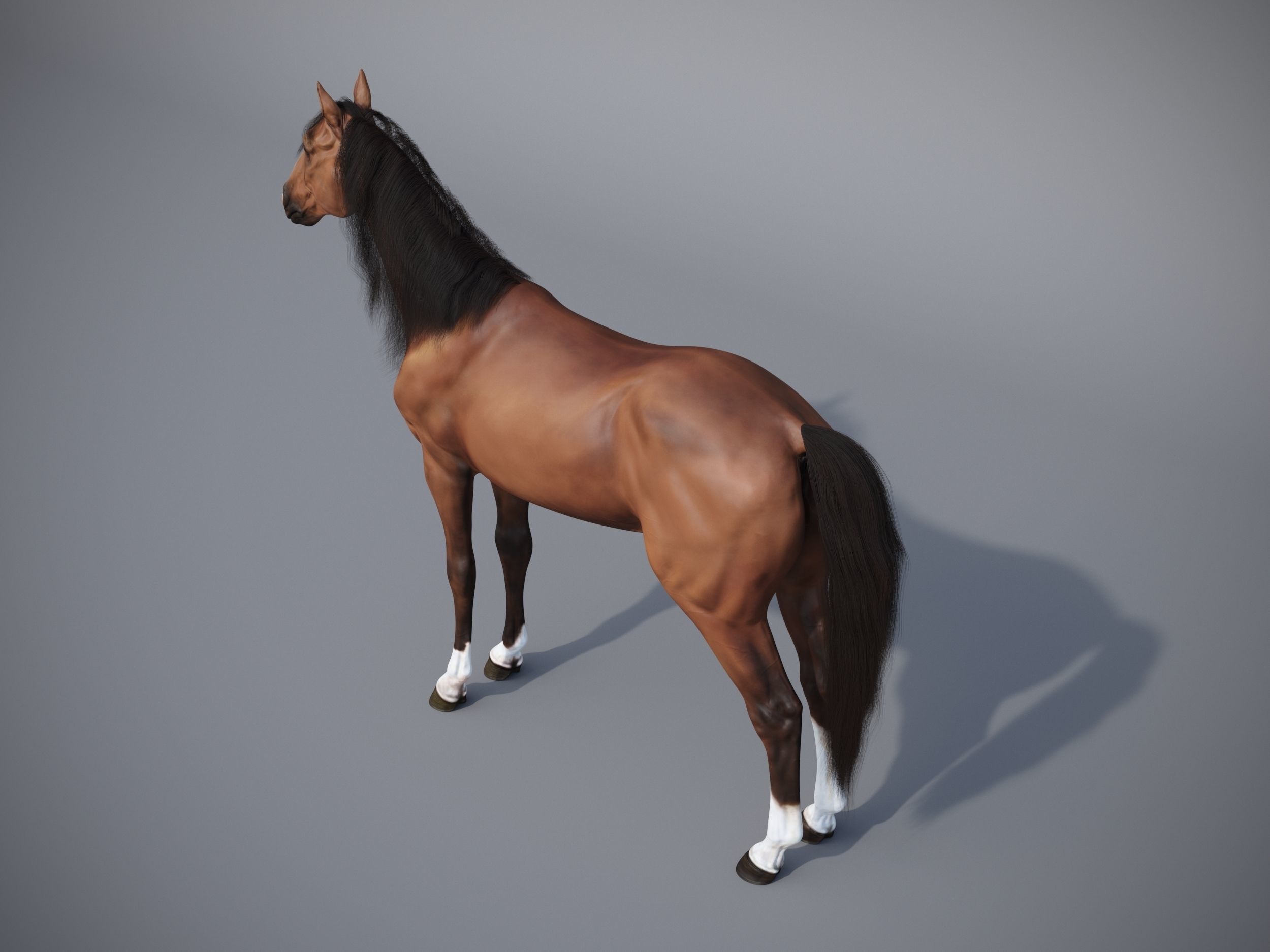 Horse in three poses  not animated Low-poly 3D model_10