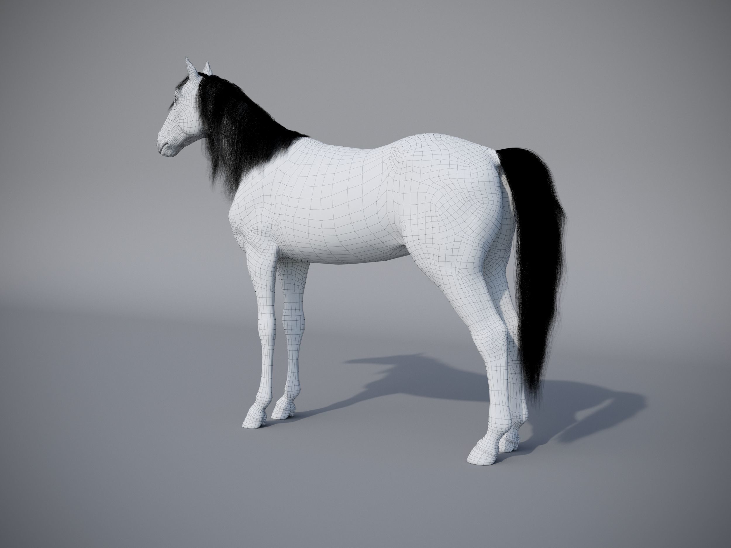 Horse in three poses  not animated Low-poly 3D model_22