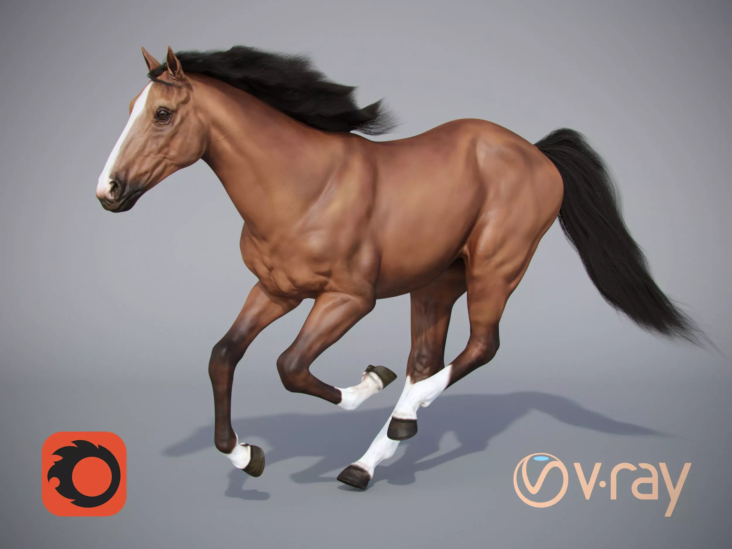 Horse in three poses  not animated Low-poly 3D model_0