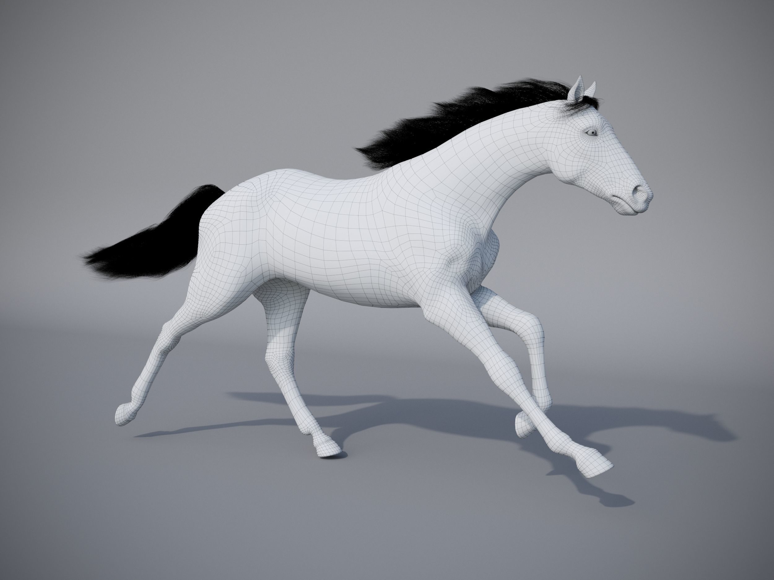 Horse in three poses  not animated Low-poly 3D model_21